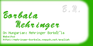 borbala mehringer business card